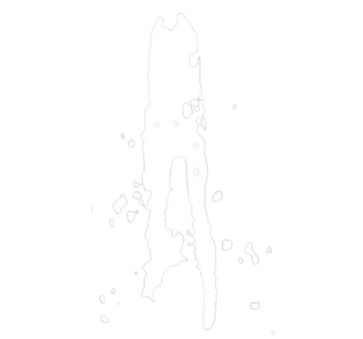 Logo icon